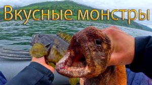 Мечта любого рыбака | Клюет как  из аквариума