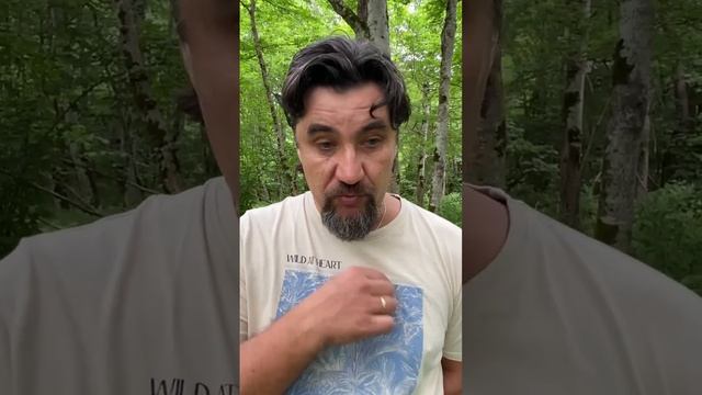 В методичке Петрова говорится о жемчужине между 3 и 4 ЭЦ, какова ее функция? | отвечает Д. Воеводи смотреть онлайн
