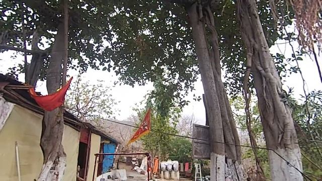 40 Гирнар. Суфий в лесу. Храм Хануману. Привет от обезьян. смотреть онлайн