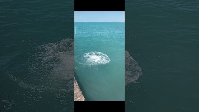 Максим Исаков .mp4 смотреть онлайн