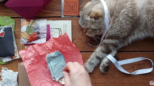 Распаковка посылочки по обмену от Анастасии Кистановой/Скрапбукинг