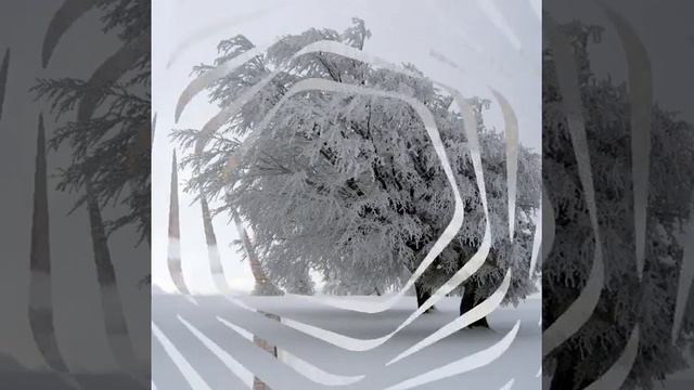 Пламя - Снег кружится... Такого снегопада давно не помнят здешние места