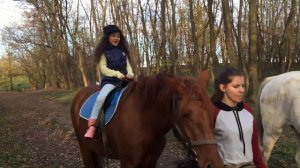 Катаемся на лошадях! Это очень классно ❤️ Лошади! Они очень красивые и добрые