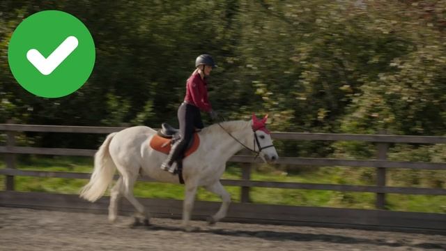 Riding Dares - 2023 - Casper's version | This Esme Ad смотреть онлайн