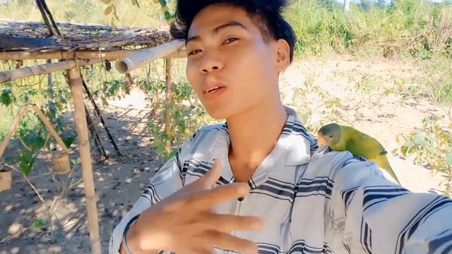 Toto ki shat Hindi se bat kiya #vlogger смотреть онлайн