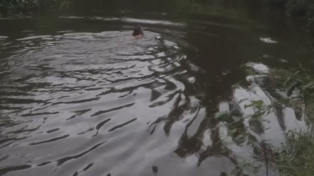 Короткометражный фильм "Пока мы здесь" (трейлер) смотреть онлайн