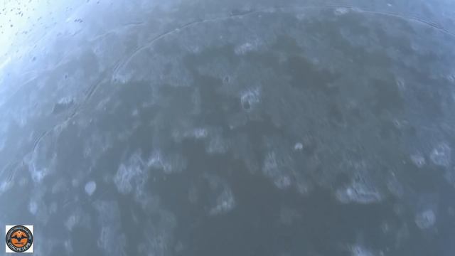 Frozen Duck. Замороженная утка. "Центр" 25.11.17. смотреть онлайн