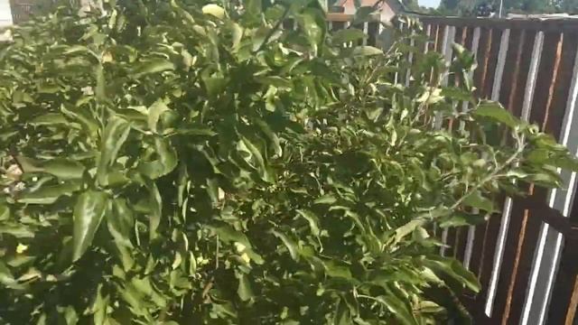 Забор своими руками: установка и монтаж