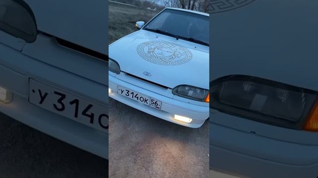 Елена Кочеткова