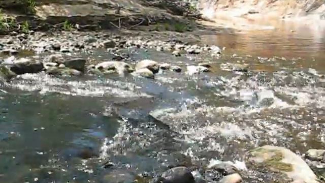 Река Циновля возле Игнача-креста смотреть онлайн