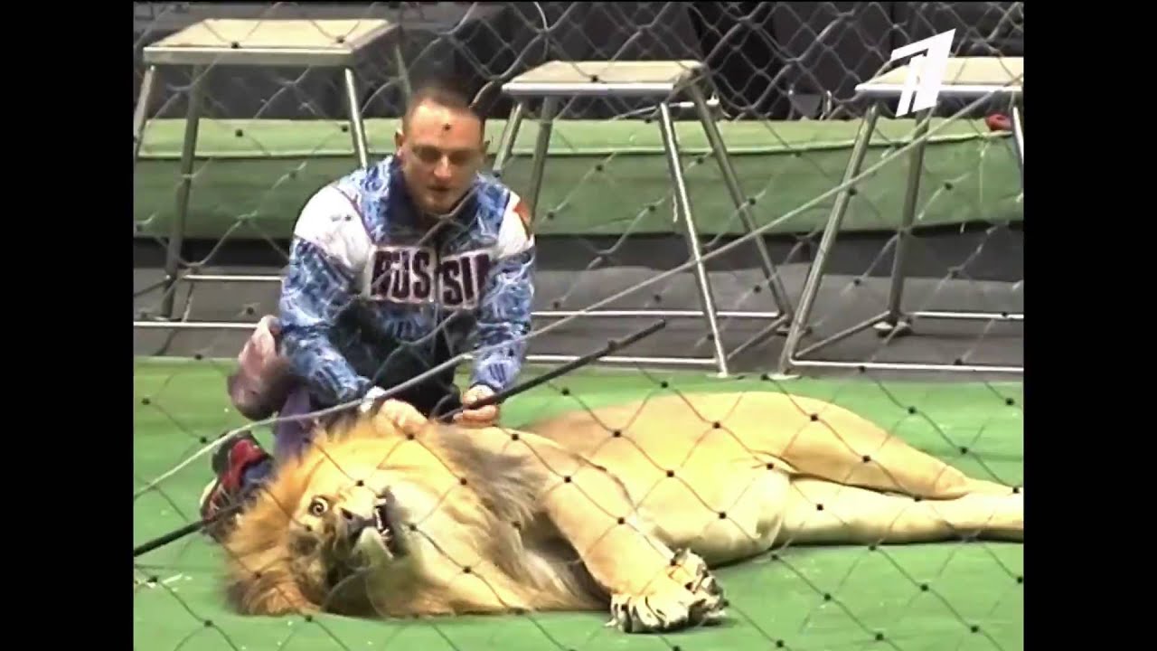 Эмоции Санкт - Петербург 2015 смотреть онлайн