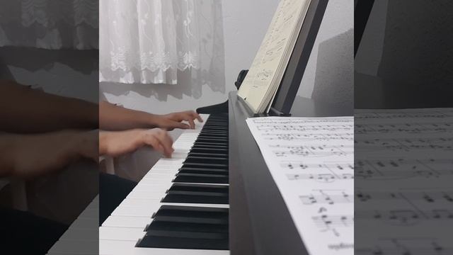 Leopold Mozart - Polonaise  Polonesa Полонез  波兰舞曲 Polacca  Polonez  Polonäse