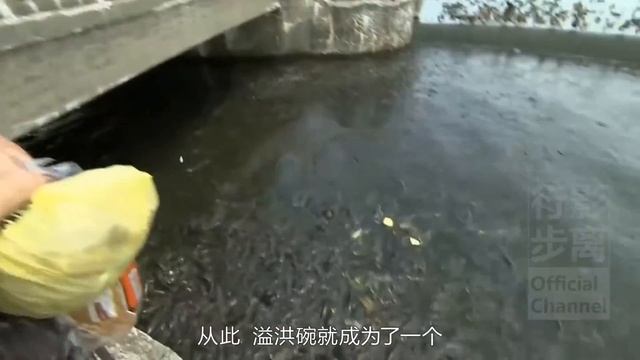 鴨子在魚群上行走的地方，這個景點從不做廣告，每年卻吸引50萬遊客，美國賓州萊恩斯維爾溢洪道，Linesville Spillway，Where Ducks Walk on Fishes смотреть онлайн