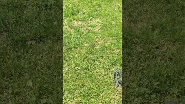 Fisher F44 Put to the Test смотреть онлайн