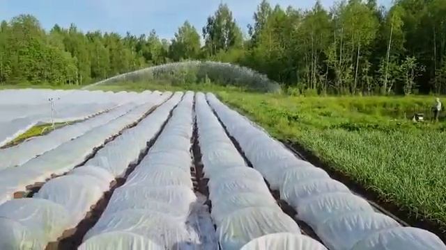 Спринклер Duplex (Италия) кругового типа для насоса от ВОМ трактора смотреть онлайн