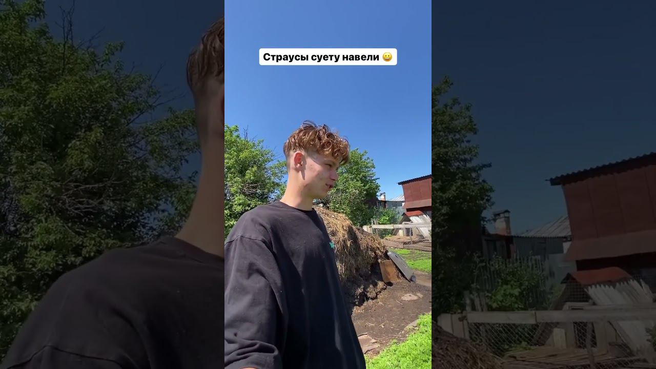 Как думаете какая скорость ? А что будет когда вырастут Страусы ?