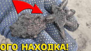 НЕВЕРОЯТНЫЕ НАХОДКИ на ЗАТОПЛЕННЫХ СЕЛАХ! Ушла Вода, А Там ТАКОЕ! В Поисках Клада от Влада!