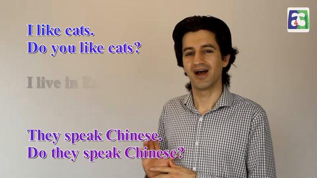 Simple Present Negative & Question смотреть онлайн