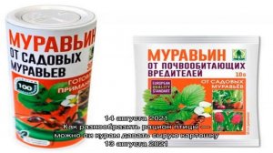 Муравьин Г: инструкция по применению