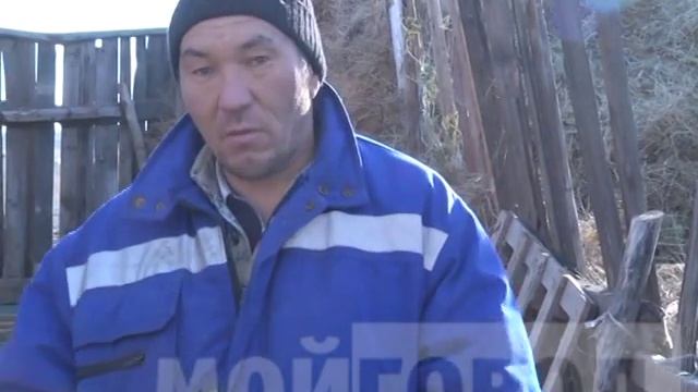 Бараны смотреть онлайн