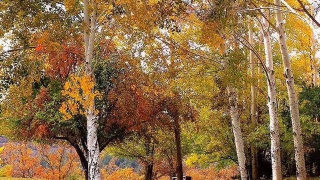 Autumn Leaves-Richard Clayderman .wmv смотреть онлайн