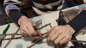 Настольная прививка винограда от А до Я.