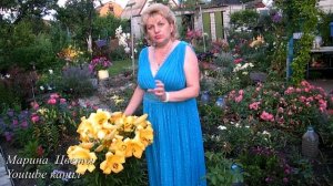 ЛИЛИЯ САЛТАРЕЛЛО . ГИБРИДЫ ОТ. ЧУДО!!! Выращивание, уход, посадка, полив, болезни, цветение.