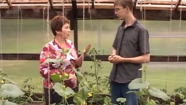 Дачники Тыквенные Часть 1 Выпуск 33 Тагил ТВ смотреть онлайн