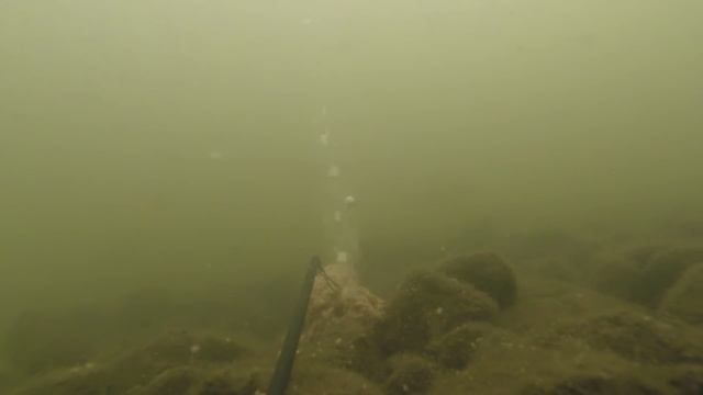 шипучие таблетки для рыбалки в действии , тест на карасях, подводное видео смотреть онлайн