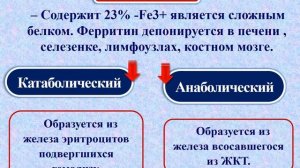 Патология - Лекция: Мезенхимальные и смешанные дистрофии.