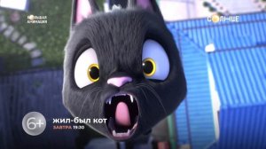 "Жил был кот" - на "СОЛНЦЕ"!