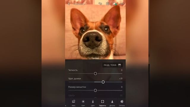 Спасти фото от желтизны смотреть онлайн