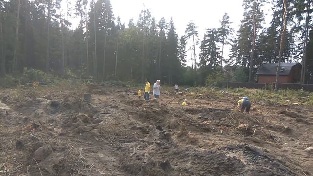 Лесопосадки. Красногорск. 2018.09.22 смотреть онлайн