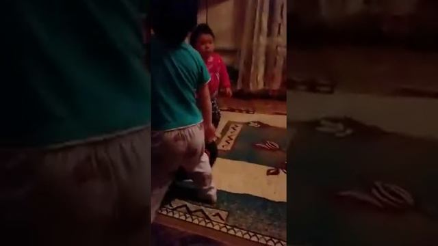 Картинка дельфинов смотреть онлайн