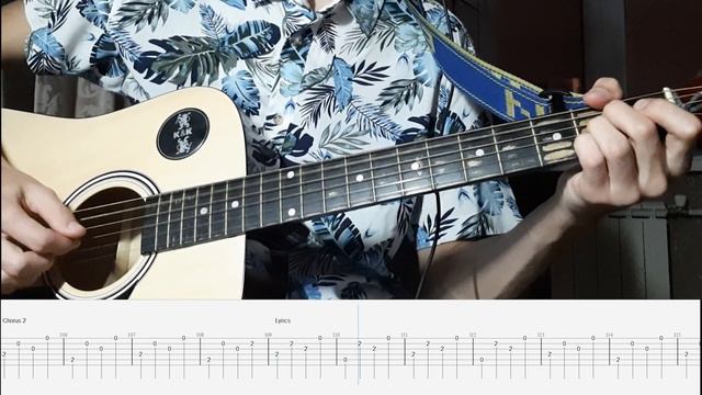 Mr Schwartz - Arctic Monkeys (Acoustic guitar cover + TABS) смотреть онлайн
