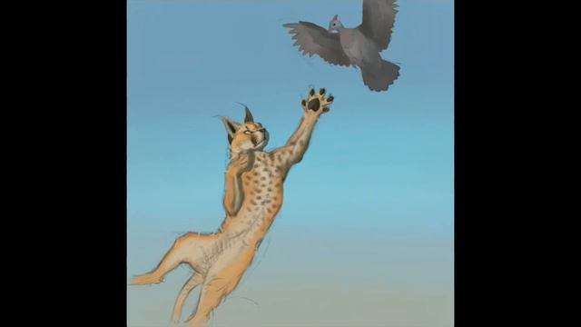 caracal time lapse process смотреть онлайн