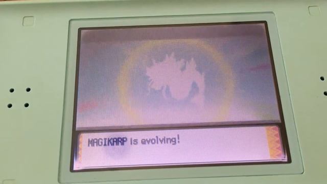 Magikarp evolution on Nintendo DS смотреть онлайн