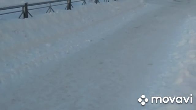 В-35гр прогулку ни кто не отменял! смотреть онлайн