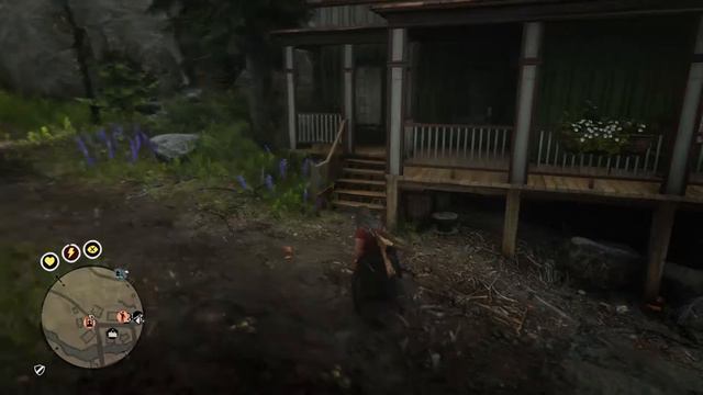 Сфотографировано кошек:0/1🐈📷