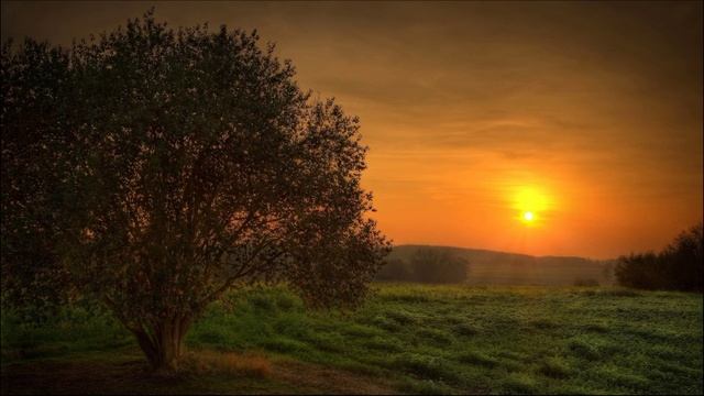 Was mir morgen noch begegnet..