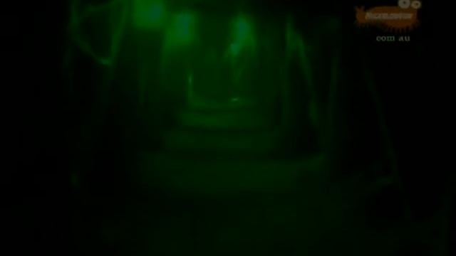 Camp Orange The Mystery Of Spaghetti Creek Day 5