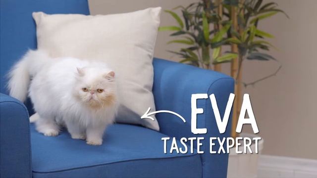Purina One Cat Food | Chewy смотреть онлайн