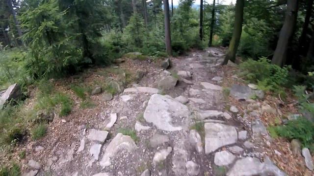Xena offroad: DH-Techniktraining am Ochsenkopf 1.+2.7.2017 смотреть онлайн