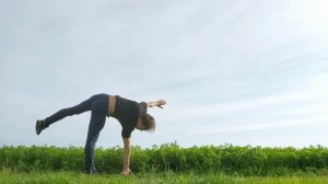 Шаг за шагом  МАХОВОЕ КОЛЕСО, КОЛЕСО БЕЗ РУК (Aerial)