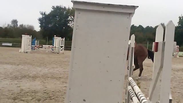 Vincent et Trades, CSO Club 2 Grand Prix смотреть онлайн