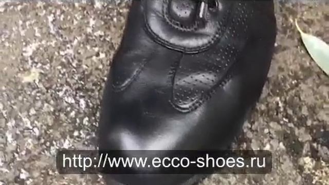 Экко .ecco. ОТЗЫВ смотреть онлайн
