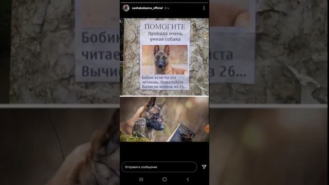 Саша Кабаева и её приколы 24 10 20 смотреть онлайн