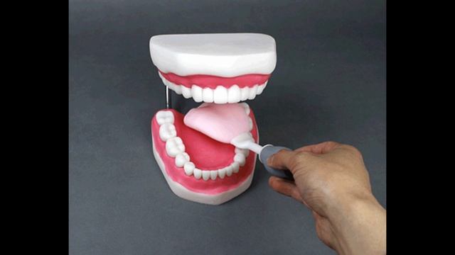 Недоступная логопедия в РФ. Логопедический набор для Ромы.