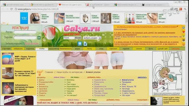 Как найти котенка с помощью Google Chrome stopgame ru смотреть онлайн