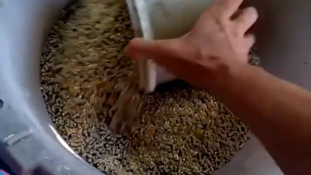 Мои бройлеры не едят кукурузу. смотреть онлайн